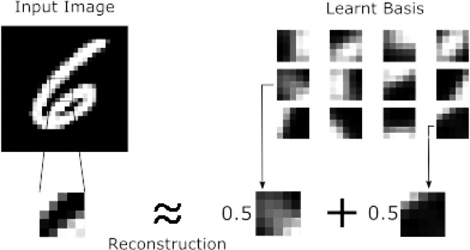 sparse_coding.jpg